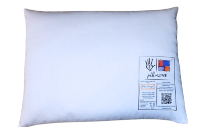 Biała Poduszka Gryczana Jasiek „Pole Marzeń” (Jasio Wędrowniczek) 40×30 cm – BAZA (Serce)